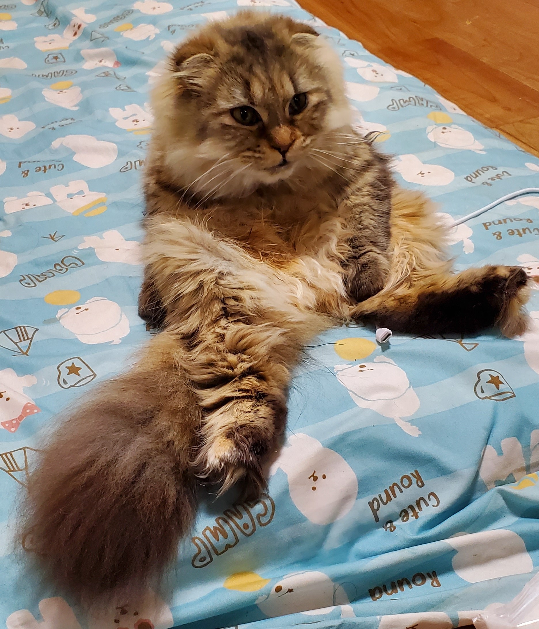 ペンシル